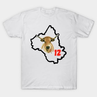Aveyron France T-Shirt